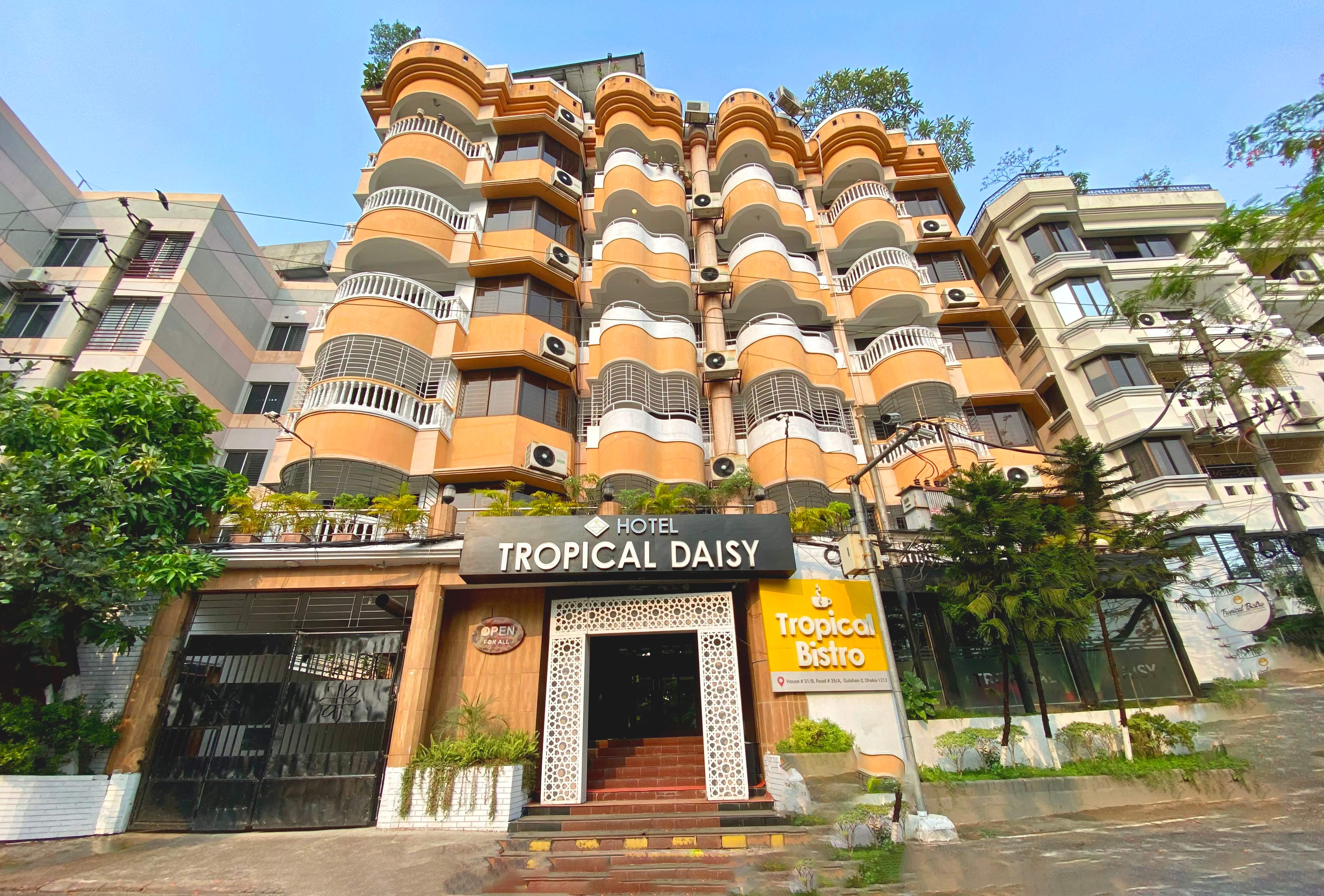 Hotel Tropical Daisy hero image